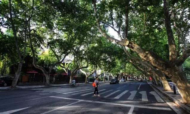 G20峰會杭州將驚呆各國領(lǐng)導(dǎo)人！提前先給你看點私貨……