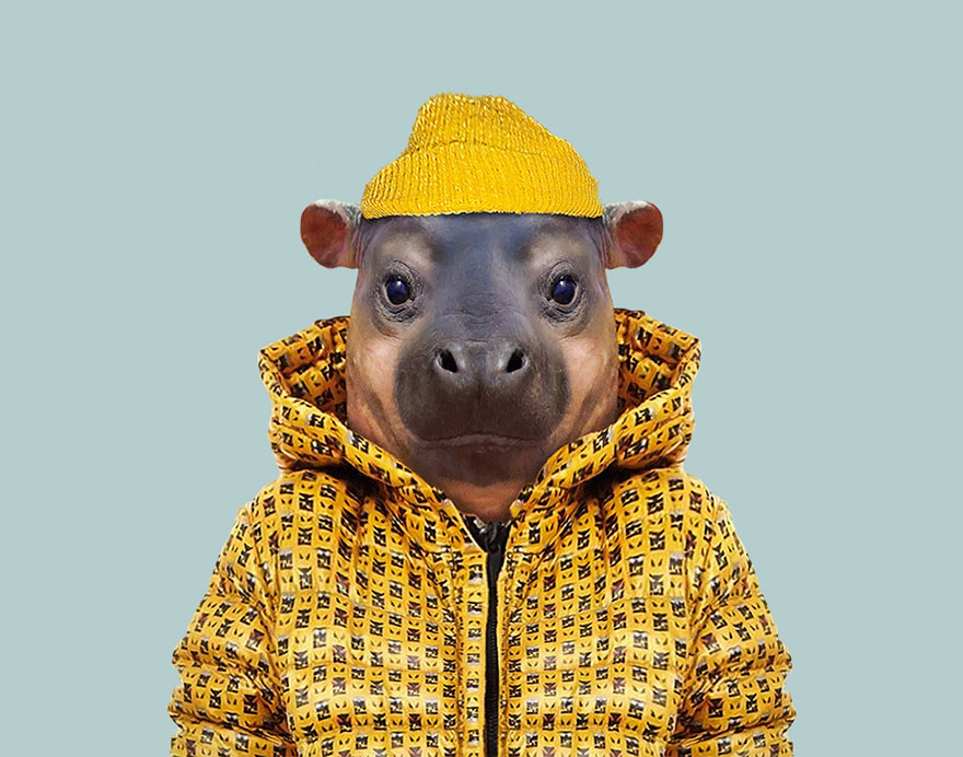 別臭美了：動(dòng)物穿上衣服比你帥（組圖）