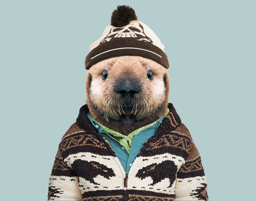 別臭美了：動(dòng)物穿上衣服比你帥（組圖）