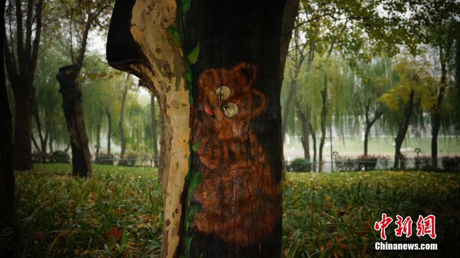 西安一公園現(xiàn)動(dòng)物“樹洞畫” 惟妙惟肖引圍觀（組圖）