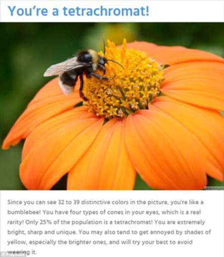 一張圖判別你的識(shí)色能力有多強(qiáng)