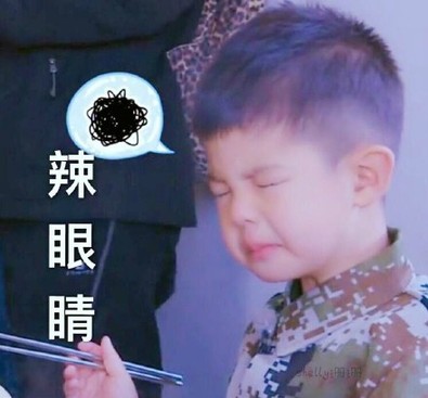 盤點：2016年度網(wǎng)絡(luò)熱詞你全懂嗎？（組圖）