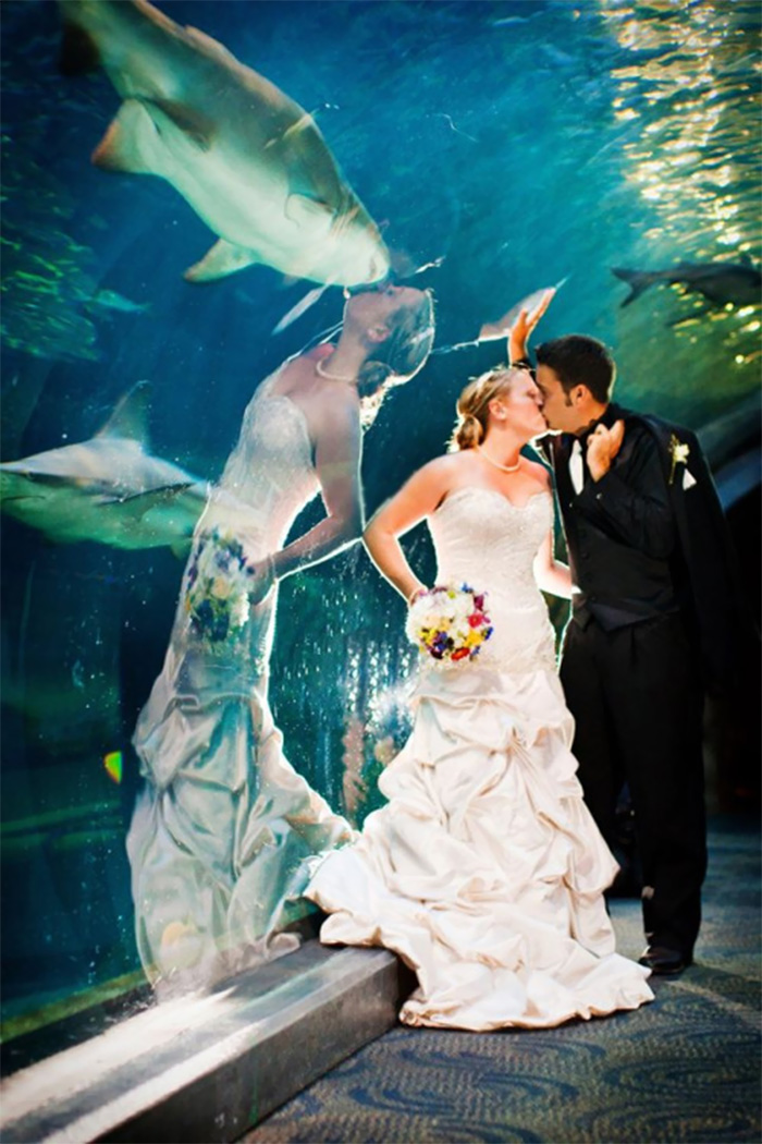 絕了！令人驚嘆的倒影（組圖）