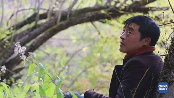 小康之路：他們曾經(jīng)是伐木人，如今卻成了護林員和藏香廠老板丨解碼中國
