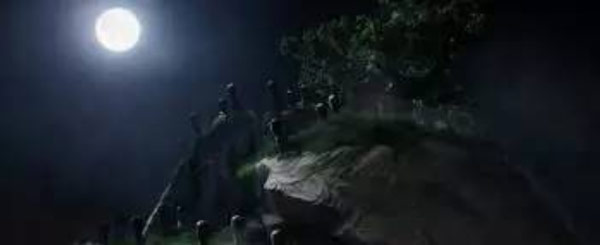 《神奇動(dòng)物》里都有哪些神奇的動(dòng)物？