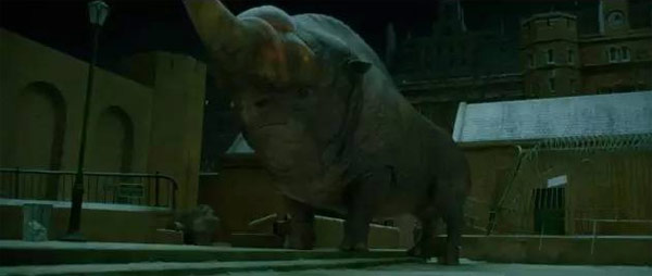 《神奇動(dòng)物》里都有哪些神奇的動(dòng)物？