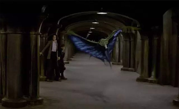 《神奇動(dòng)物》里都有哪些神奇的動(dòng)物？