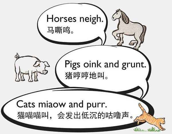 自然界中有各種聲音 如何用英語來描述動(dòng)物的叫聲？