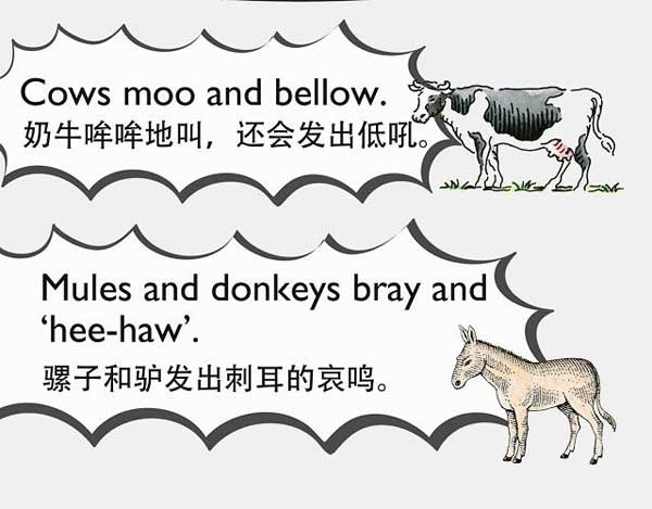 自然界中有各種聲音 如何用英語來描述動(dòng)物的叫聲？