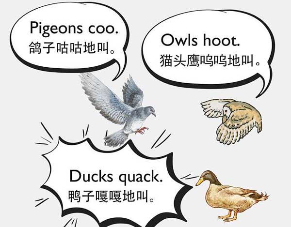 自然界中有各種聲音 如何用英語來描述動(dòng)物的叫聲？
