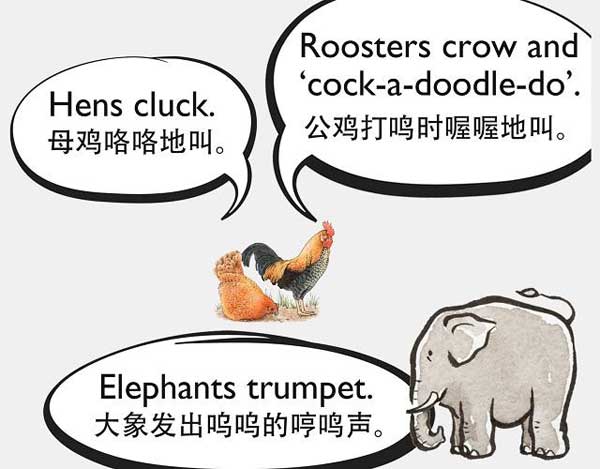 自然界中有各種聲音 如何用英語來描述動(dòng)物的叫聲？