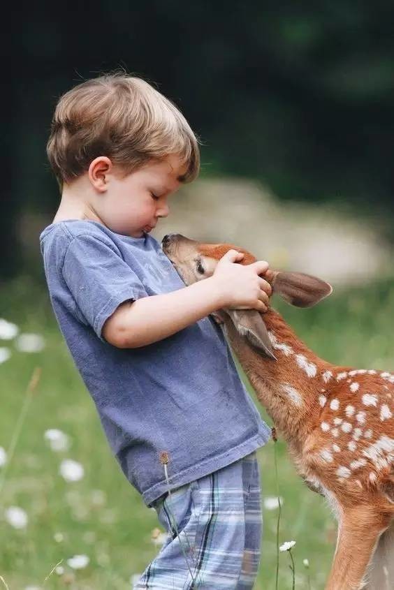 最溫情的抓拍，我的心被治愈了100遍（組圖）
