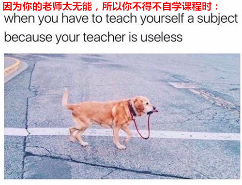 網(wǎng)友神吐槽：大學生活帶給你什么