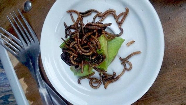 受不了臭豆腐、血腸 老外卻有更奇葩的美食