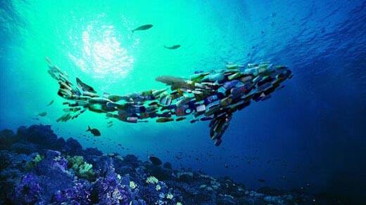 觸目！浮游生物首次被拍到攝入塑料