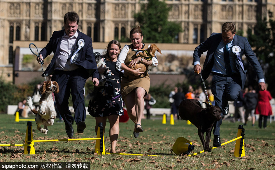 英國人民趣事多 盤點英國腦洞大開的奇葩大賽（組圖）