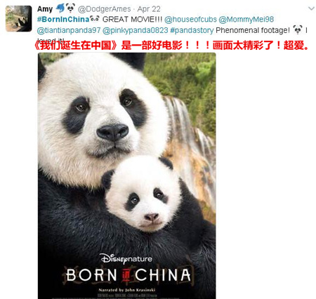 《我們誕生在中國》美國熱映 大熊貓、金絲猴、雪豹海外圈粉