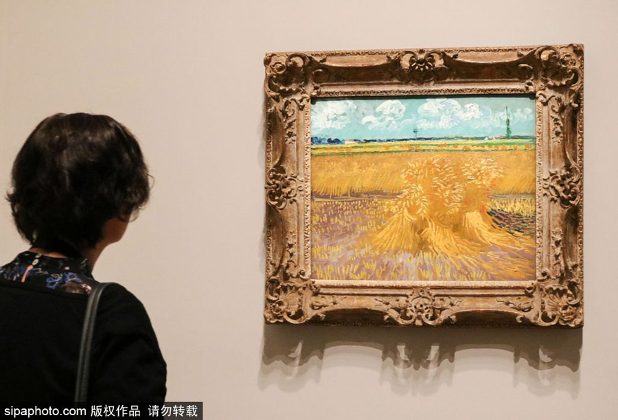 全球獨(dú)家！世界上首個梵高個人作品展在墨爾本舉辦（組圖）