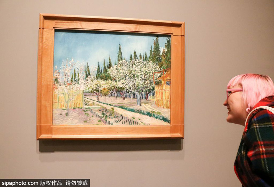 全球獨(dú)家！世界上首個(gè)梵高個(gè)人作品展在墨爾本舉辦（組圖）