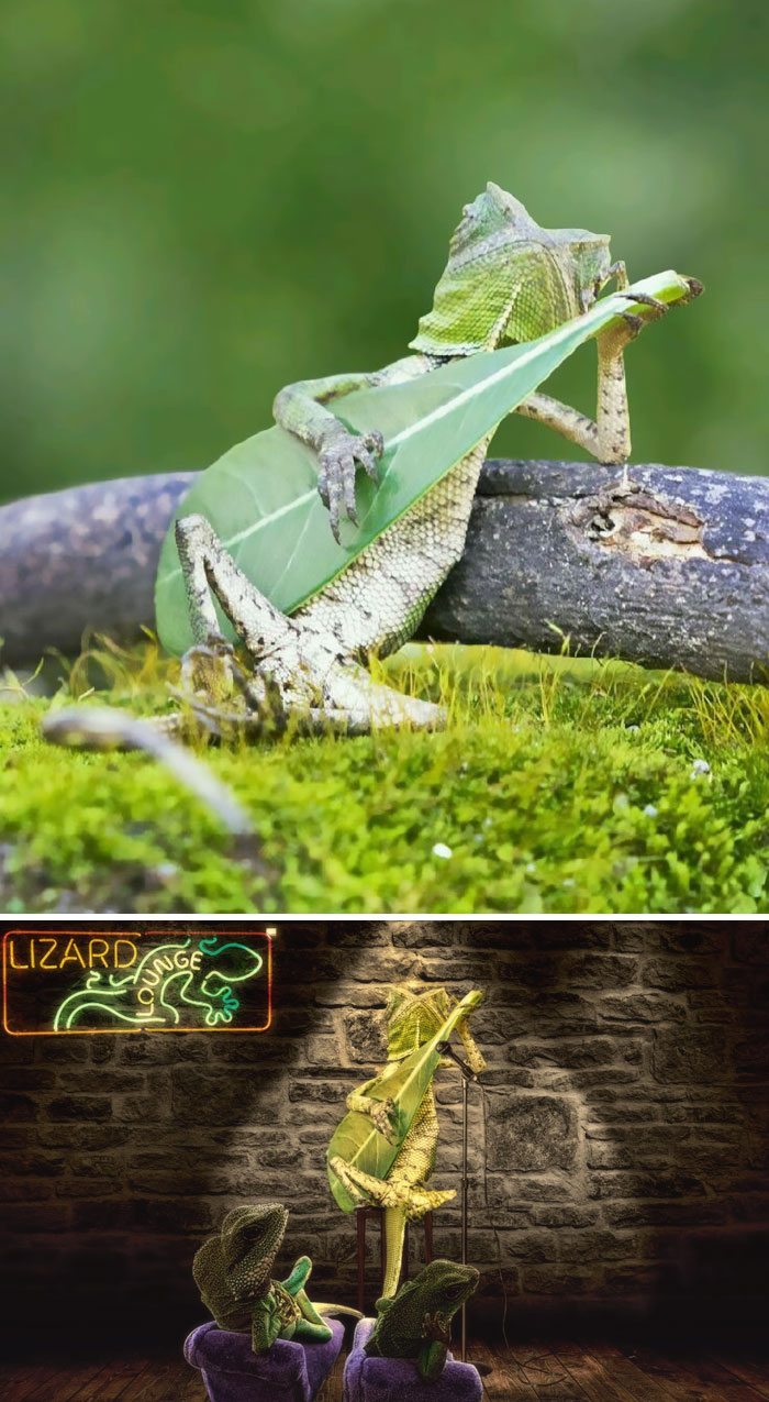 網(wǎng)絡(luò)PS大戰(zhàn)：誰(shuí)是贏家？（組圖）