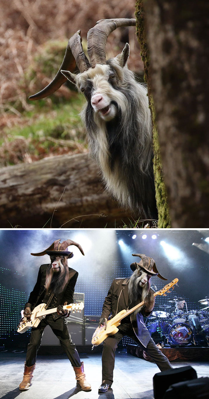 網(wǎng)絡(luò)PS大戰(zhàn)：誰是贏家？（組圖）