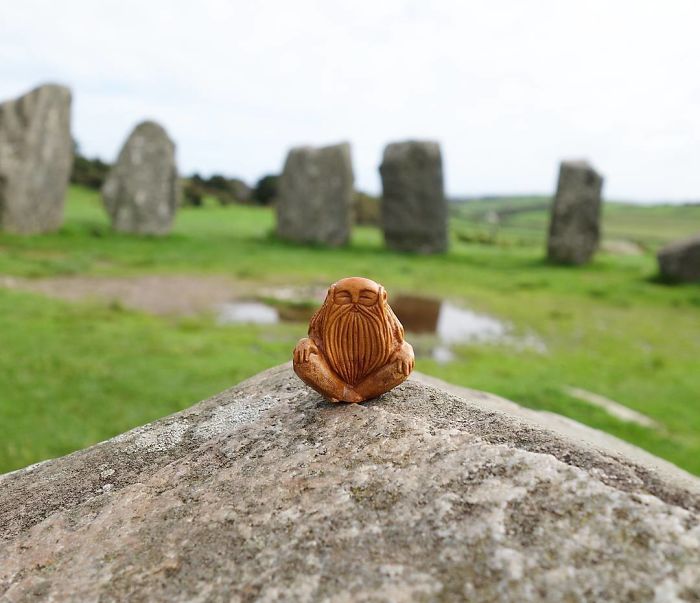 原來牛油果里住著個(gè)大胡子神仙（組圖）
