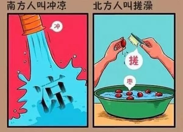 “南北差異”大討論：南方買菜買一頓，北方買菜買一噸？