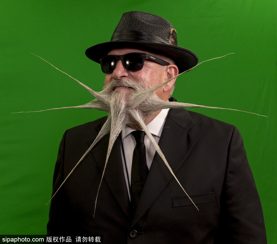 2017年世界留胡子錦標(biāo)賽：哪款Freestyle你最愛？（組圖）