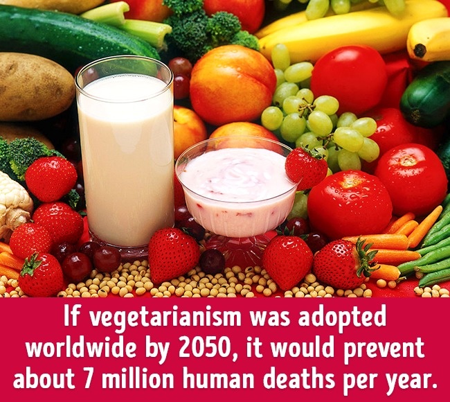 關(guān)于食物的20個冷知識 刷新你的食物觀（組圖）