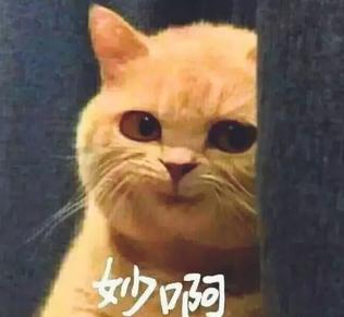 揭秘各國兵哥哥的野戰(zhàn)口糧！看到韓國的，忍不住笑出了聲…