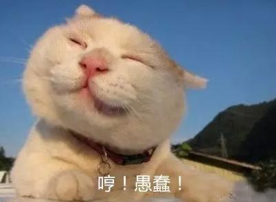 萬萬沒想到！七個(gè)讓你驚呼“厲害了”的冷知識