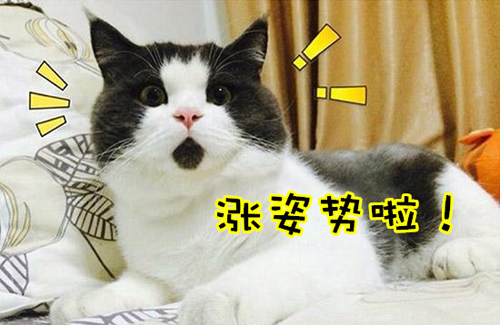 萬萬沒想到！七個(gè)讓你驚呼“厲害了”的冷知識
