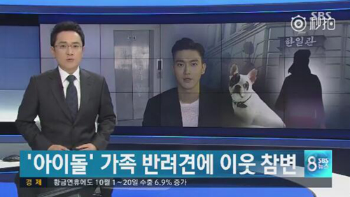 明星愛犬咬傷鄰居間接致其死亡，寵物不拴繩害人也害狗