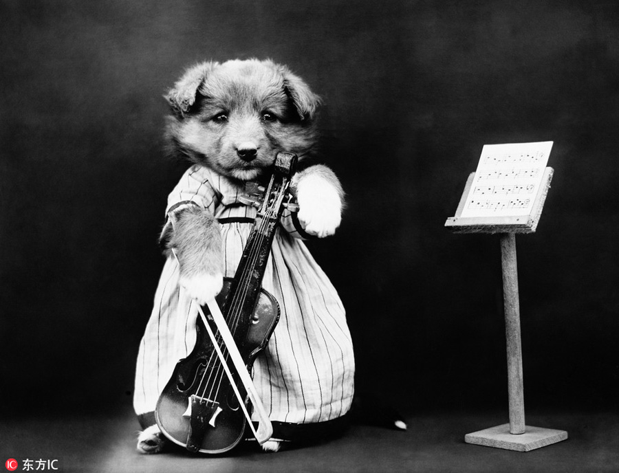 萌物過家家！一個世紀前的攝影家教你如何正確吸貓吸狗