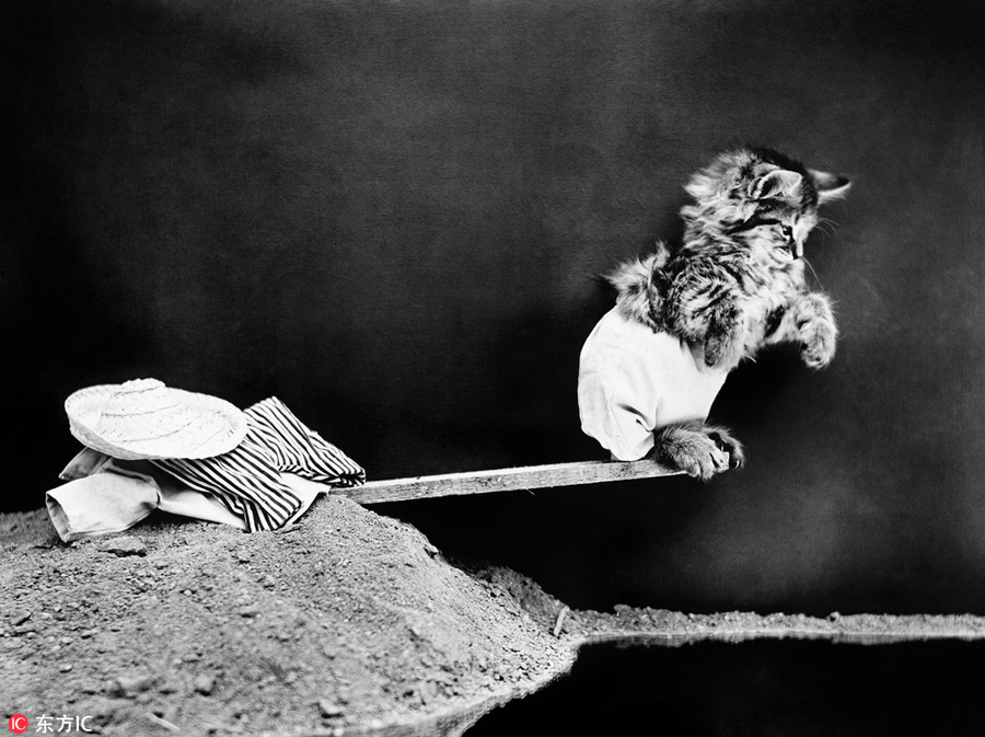 萌物過(guò)家家！一個(gè)世紀(jì)前的攝影家教你如何正確吸貓吸狗