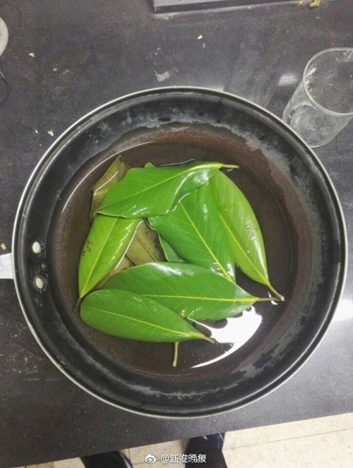 6000片樹葉做出美裙 原來他們是這么做到的！