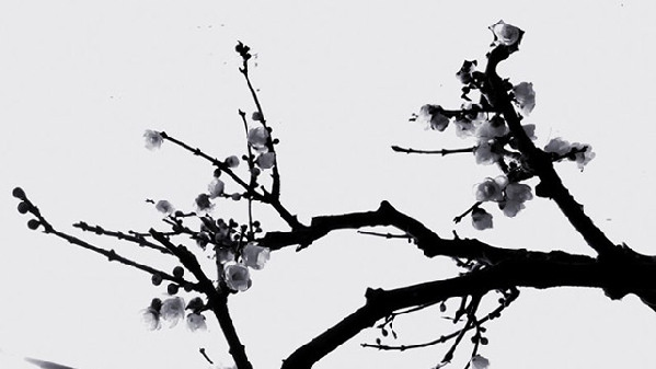 翻譯輕重“神”在先，古典翻譯為今人