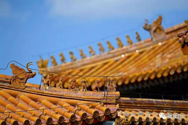 習(xí)近平特朗普同游故宮！那些讓特朗普驚嘆的殿、樓、齋，用英文怎么說？