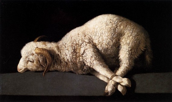 替罪羊（scapegoat）、敗家羊（black sheep），為何英語(yǔ)中背鍋的總是羊