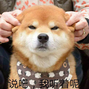 如何高級(jí)又委婉地表達(dá)“你很蠢”？
