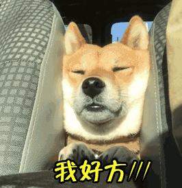 支付寶年度賬單挖了個(gè)大坑，你也不慎掉進(jìn)去了嗎？