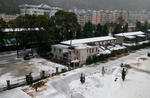 北半球的大雪，你來(lái)得太猛烈