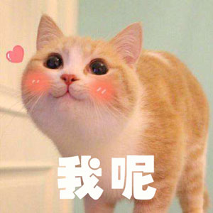 調(diào)查顯示狗奴比貓奴賺得多，你覺得準(zhǔn)嗎？