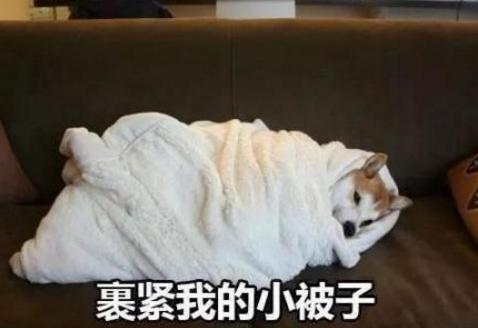 寒潮侵襲！英國人如臨大敵，卻遭北歐加拿大網(wǎng)友無情嘲笑