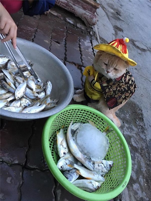 來會(huì)會(huì)越南最萌的魚販子（組圖）