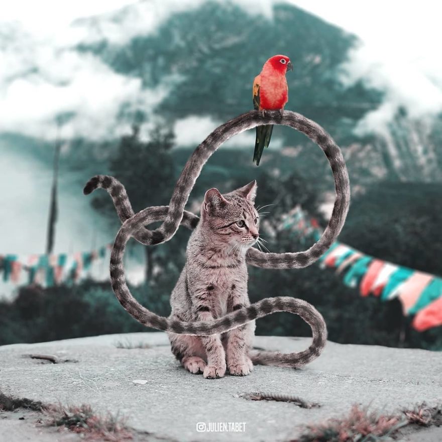 法國PS達(dá)人創(chuàng)造出“神奇動物”（組圖）