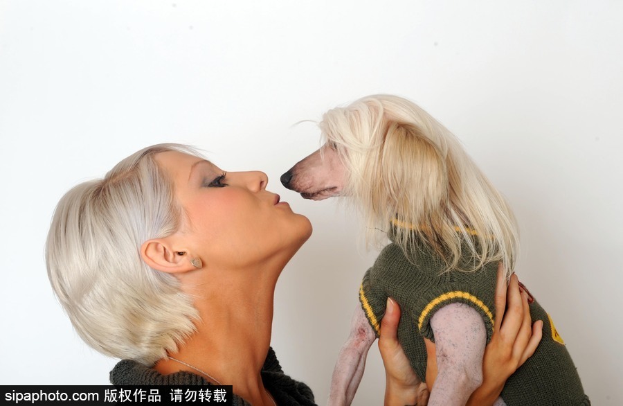 人不如狗系列！走進(jìn)全世界最奢華的狗狗生活（組圖）