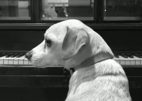 為防惡意劇透，《西部世界》主創(chuàng)決定自己先劇透！不過……