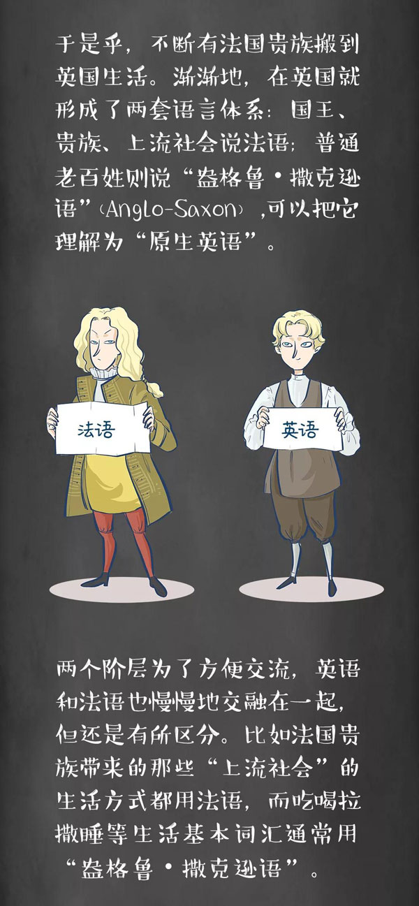 為什么牛是cow，而牛肉卻是beef？