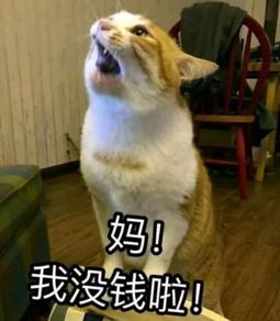 大學(xué)四年，我get了這些神技能